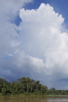Cumulonimbus clouds over rainforest, Kinabatangan River, Malaysia