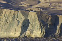 Iceberg, Neko Harbor, Antarctic Peninsula, Antarctica