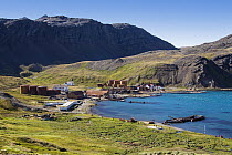Former whaling station Grytviken, King Edward Cove, South Georgia Island