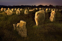 Standing stones at night, Carnac, Brittany, France