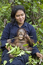 Orangutan (Pongo pygmaeus) caretaker with two year old infant during forest exploration and training program, Orangutan Care Center, Borneo, Indonesia