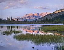 Miette Range and Talbot Lake, Jasper National Park, Canada
