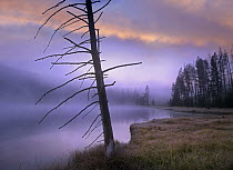 Yellowstone Lake, Yellowstone National Park, Wyoming