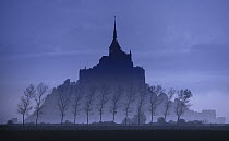 Mont Saint-Michel and row of trees, Normandy, France