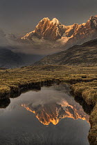 Jirishanca peak, 6090 meters, dawn reflection in stream running into Mitococha Lake, Cordillera Huayhuash, Andes, Peru