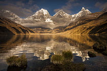 Siula Grande, Yerupaja, Yerupaja Chico and Jirishanca peaks emerge from morning cloud with reflections in Carhuacocha Lake, Cordillera Huayhuash, Andes, Peru