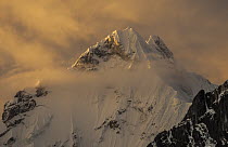 Yerupaja summit ridge, 6617 meters, at sunset, Cordillera Huayhuash, Andes, Peru