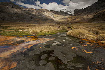 Chemicals leaking from old gold mine cause orange colored mud in swamp, Cashapampa Valley, Cordillera Huayhuash, Andes, Peru