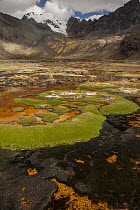 Chemicals leaking from old gold mine cause orange colored mud in swamp, Cashapampa Valley, Cordillera Huayhuash, Andes, Peru