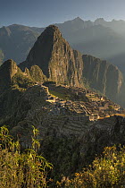 Machu Picchu at dawn above Urubamba Valley near Cuzco, Peru