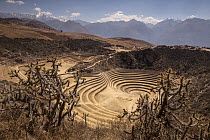 Inca laboratory possibly used for testing seeds and plants before planting in wider district, Urubamba Valley near Cuzco, Peru