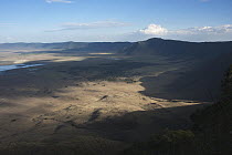 Crater floor, Ngorongoro Crater, Ngorongoro Conservation Area, Tanzania