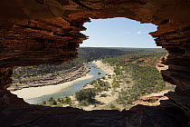 Murchison River gorge, Kalbarri National Park, Western Australia, Australia