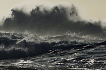 Waves crashing, Western Australia, Australia