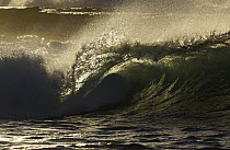 Wave crashing, Western Australia, Australia