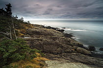 Coast at dusk, Bay of Fundy, Canada