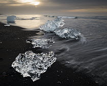 Ice from the Vatnajokull Glacier on a volcanic black sand beach, Vatnajokull National Park, Iceland