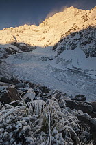 Caroline Face of Mount Cook at dawn from Ball Pass with glacier below, Mount Cook National Park, Canterbury, New Zealand