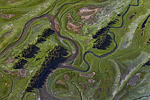 Johnson River, Lake Clark National Park, Alaska