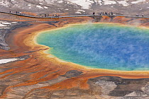 Tourists viewing Grand Prismatic Pool, Midway Geyser Basin, Yellowstone National Park, Wyoming
