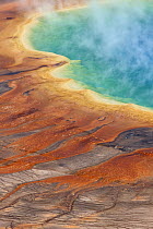 Grand Prismatic Pool, Midway Geyser Basin, Yellowstone National Park, Wyoming
