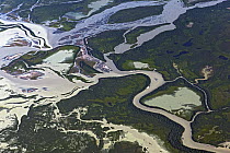 Coastal area with salt marsh and boreal forest, Cook Inlet, Alaska