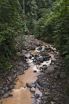 River flowing through rainforest, Costa Rica