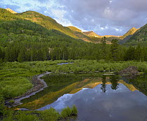 Pond and boreal forest, Ruby Range near Crested Butte, Colorado