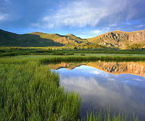 Mount Bierstadt from Guanella Pass reflected in pond, Colorado