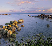 Coastal rocks, Bahia Honda Key, Florida
