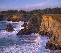 Coastal cliffs, Jughandle State Reserve, California