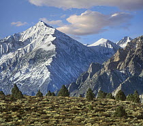 Mount Tom, Sierra Nevada, John Muir Wilderness, Inyo National Forest, California