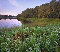 Myakka River, Myakka River State Park, Florida