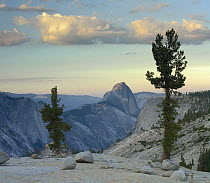 Half Dome seen from Olmsted Point, Yosemite National Park, California