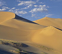 Sand dunes, Great Sand Dunes National Monument, Colorado