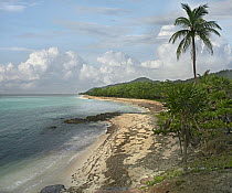 Tropical beach, Camp Bay, Roatan Island, Honduras