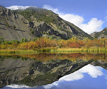Boulder Mountains reflected in beaver pond, Idaho