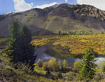 Creek and Boulder Mountains, Idaho