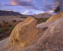 Boulder, Split Mountain, Dinosaur National Monument, Utah