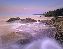 Moon over Botany Bay, Vancouver Island, British Columbia, Canada