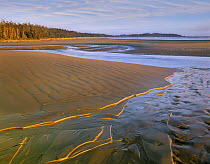 Combers Beach, Pacific Rim National Park, Vancouver Island, British Columbia, Canada