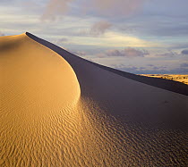 Sand dune, White Sands National Park, New Mexico