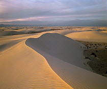 Sand dunes, White Sands National Park, New Mexico