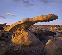 Eroded rock, Bisti Badlands, Bisti Wilderness Area, New Mexico