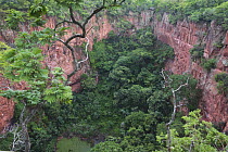 Sandstone sinkhole and rainforest, Buraco das Araras, Mato Grosso do Sul, Pantanal, Brazil