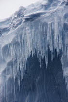 Icicles hanging from iceberg, Antarctic Peninsula, Antarctica
