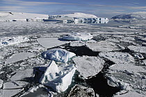 Sea ice, Weddell Sea, Antarctic Peninsula, Antarctica