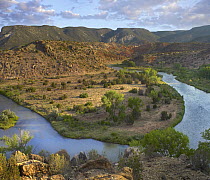 Rio Chama, tributary of the Rio Grande near Abiquiu, New Mexico