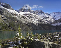 Mount Huber and Lake O'Hara, Yoho National Park, British Columbia, Canada