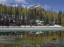 Partially frozen pond, Opabin Plateau, Yoho National Park, British Columbia, Canada